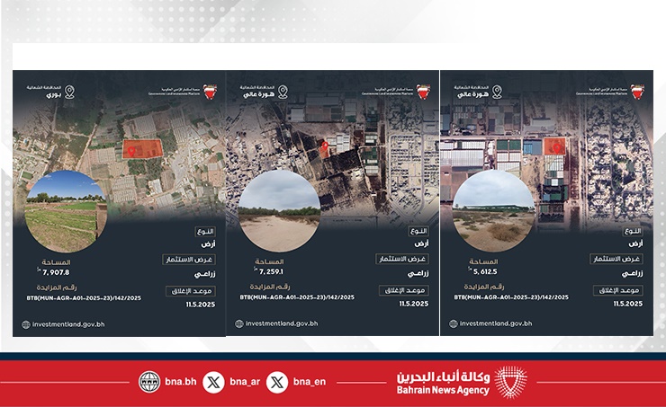 في أكبر دفعة تُطرح عبر المنصة .. رئيس لجنة استثمار الأراضي الحكومية: طرح 23 فرصة استثمارية جديدة عبر منصة استثمار الأراضي الحكومية